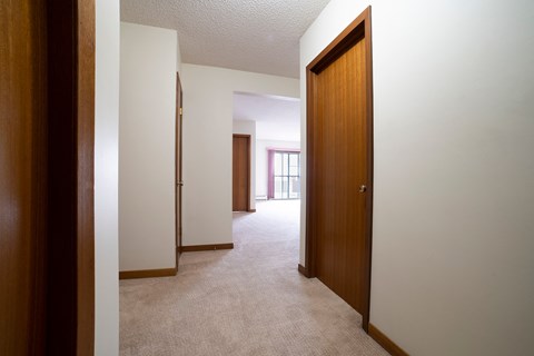 A hallway with a brown door and carpeted floor.