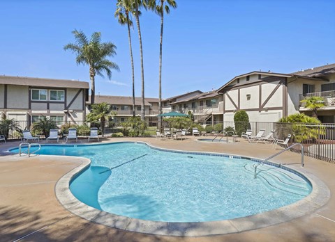 A swimming pool surrounded by palm trees and lounge chairs.