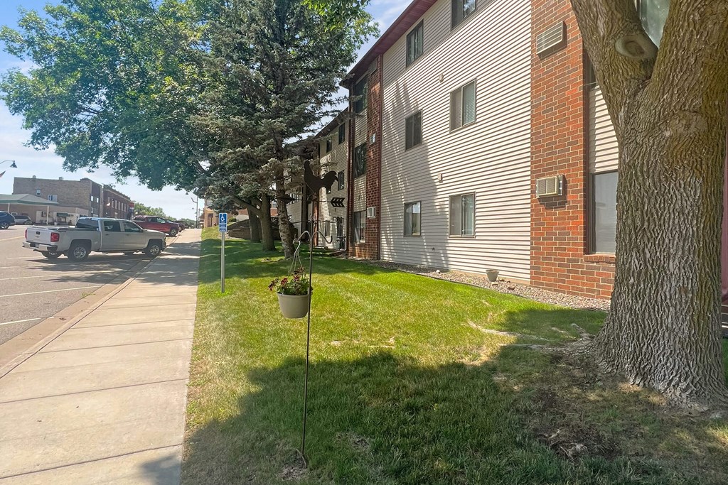 A tree in a pot is on the grass next to a sidewalk.