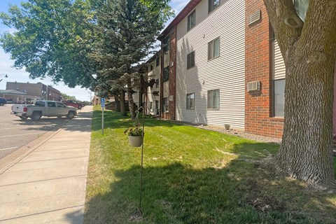 A tree in a pot is on the grass next to a sidewalk.