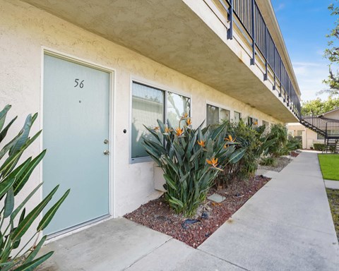 A blue door with the number 56 on it is on the left side of a building.