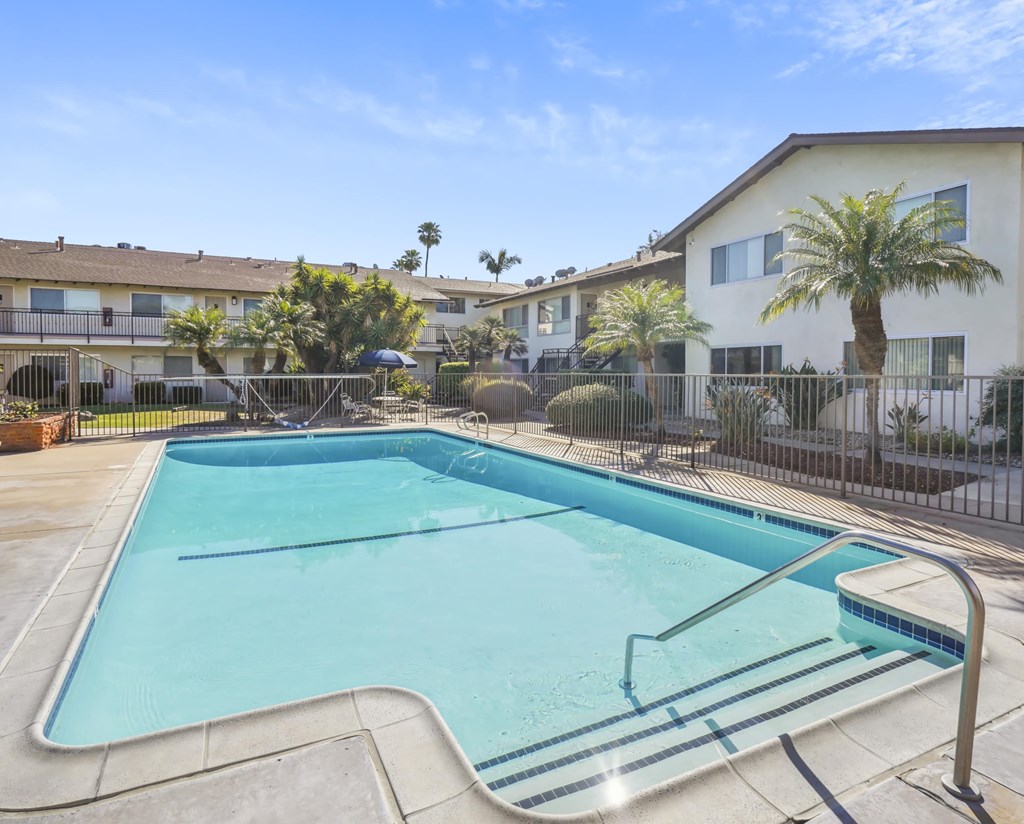 A swimming pool in a residential area with a fence and palm trees.