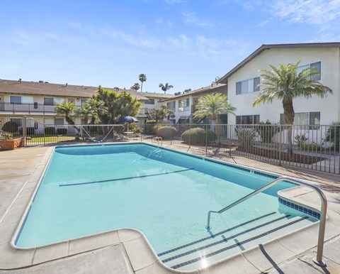 A swimming pool in a residential area with a fence and palm trees.