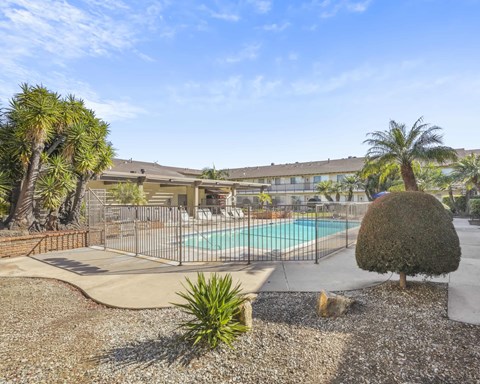 A pool surrounded by a fence and a few trees.