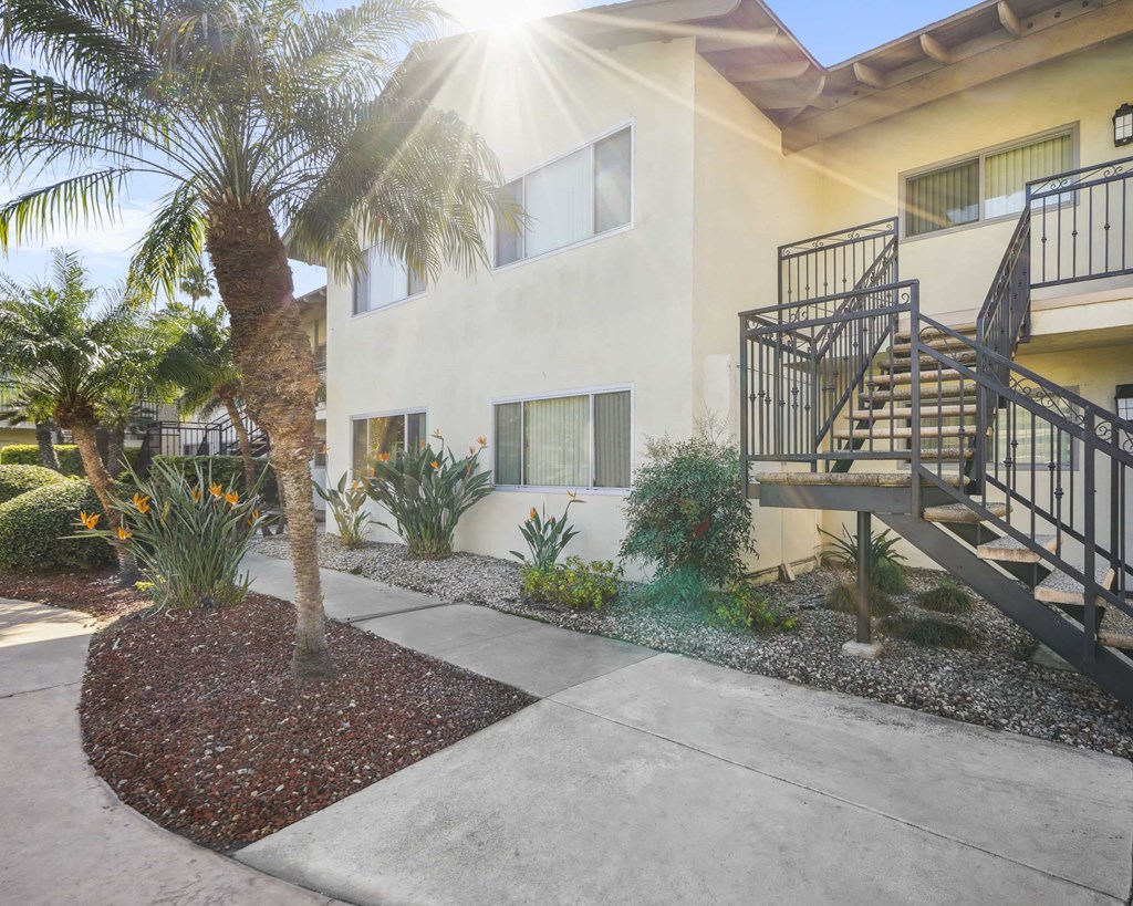 A sunny day at a modern house with a palm tree in the front yard.