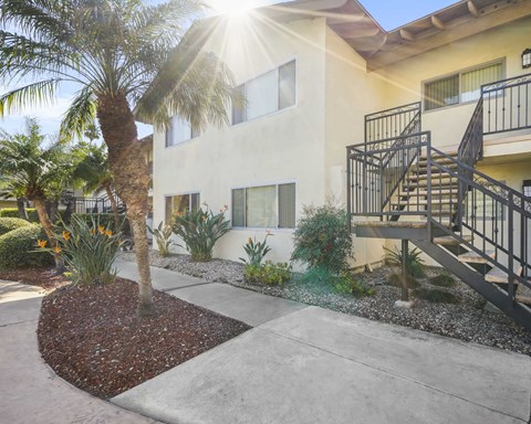 A sunny day at a modern house with a palm tree in the front yard.