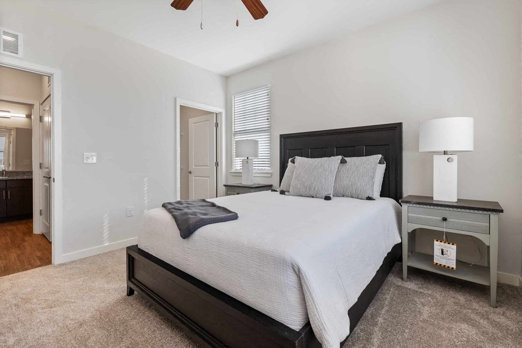 a bedroom with a bed and a closet