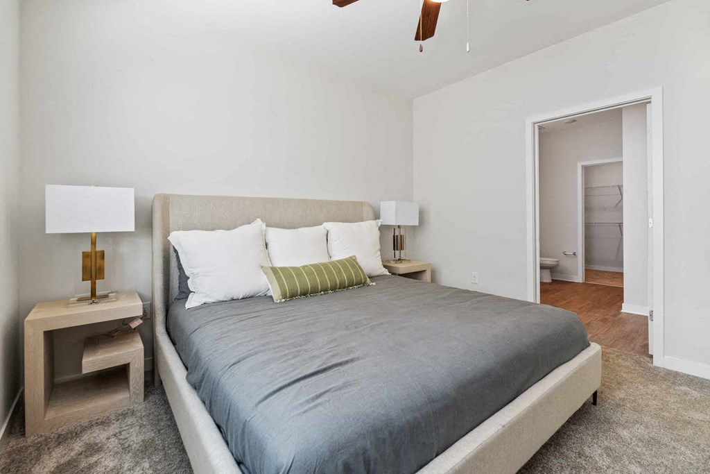 a bedroom with a bed and a closet