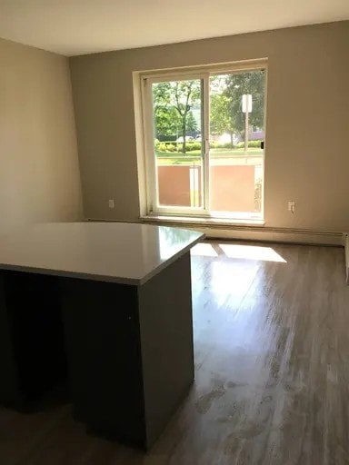 29 Clapham Rd. Studio Apartment for Rent - Photo Gallery 15