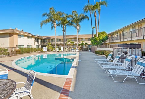 A pool surrounded by chairs and palm trees.
