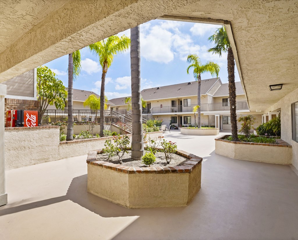 A courtyard with a palm tree and a building in the background.