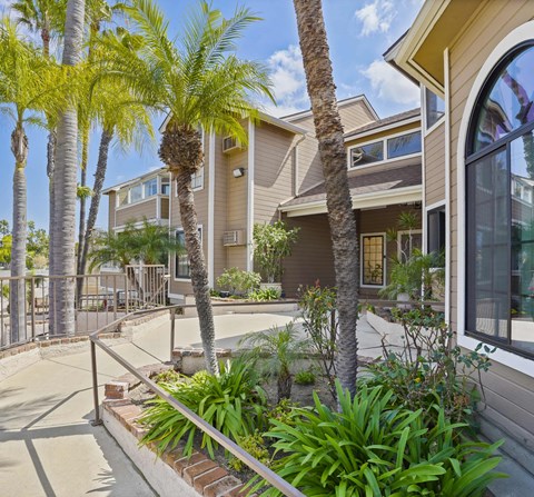 A building with a palm tree in front of it.