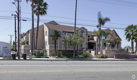 a house on the side of a street with palm trees