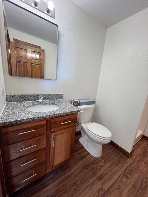 A white toilet sits in a bathroom with a wooden cabinet and granite countertop.
