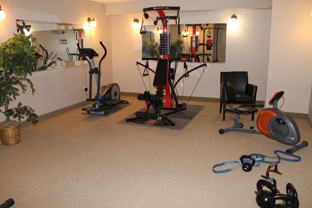A room with exercise equipment and a plant.