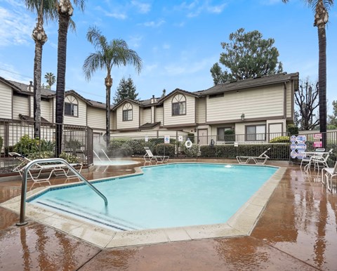 A pool surrounded by palm trees and a fence.
