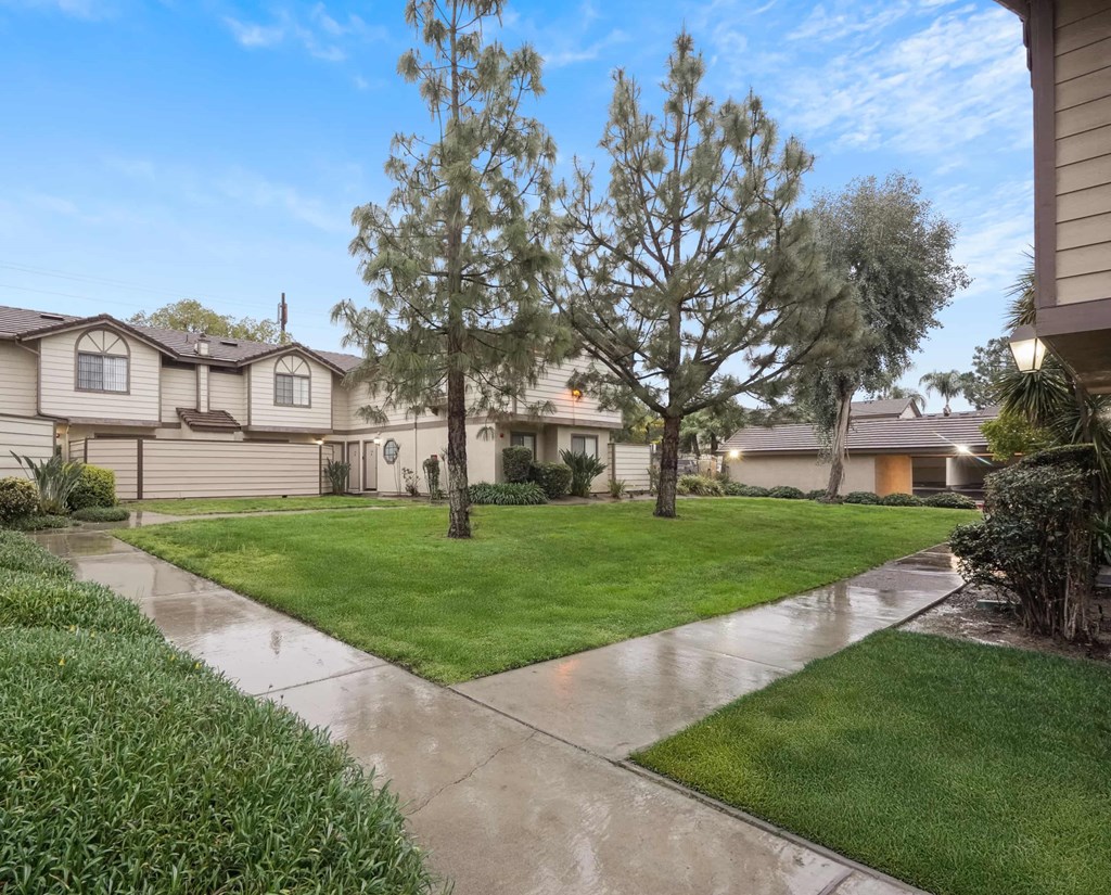 A residential area with houses and a wet sidewalk.