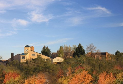 A large house surrounded by trees with autumn leaves.