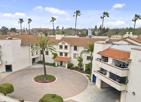 A courtyard with a palm tree in the middle of it.