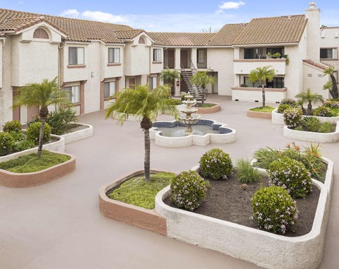 A courtyard with a fountain and a palm tree.