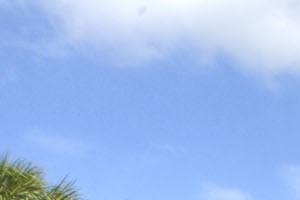 Tuscan Isle Apartments For Rent Tuscan Isle Apartments For Rent