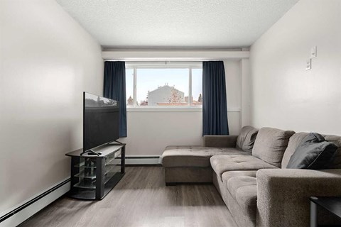 A living room with a grey couch and a television.