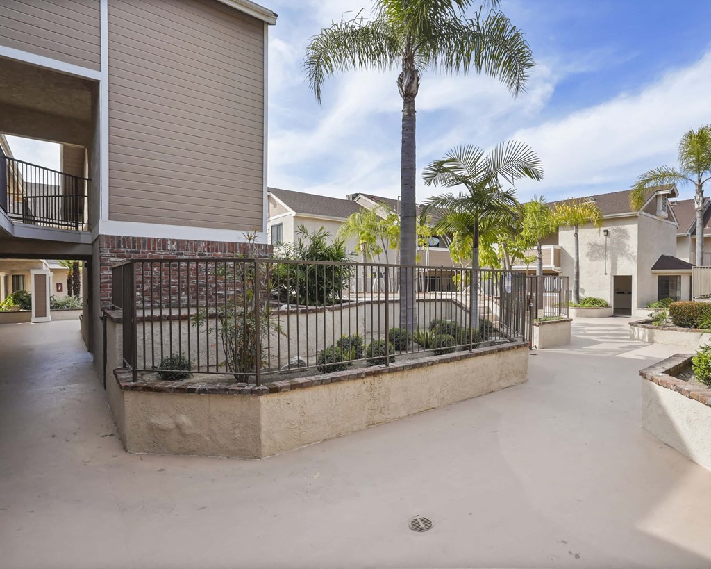 A palm tree stands in a courtyard between two apartment buildings.