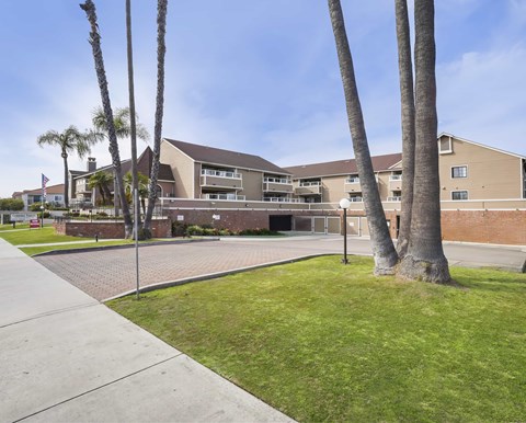 A building with a brick wall and palm trees in front.