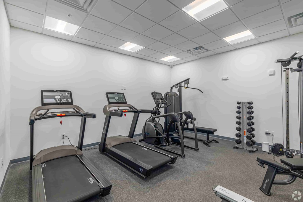 A gym with treadmills, elliptical machines, and other exercise equipment.