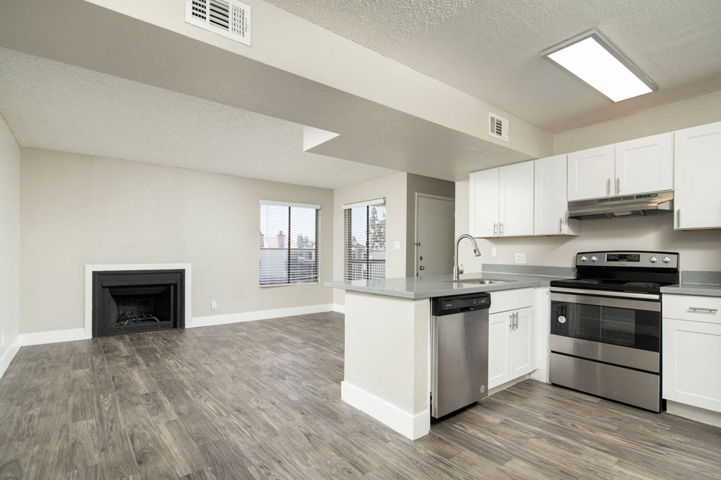 A kitchen with a stove, oven, and dishwasher.