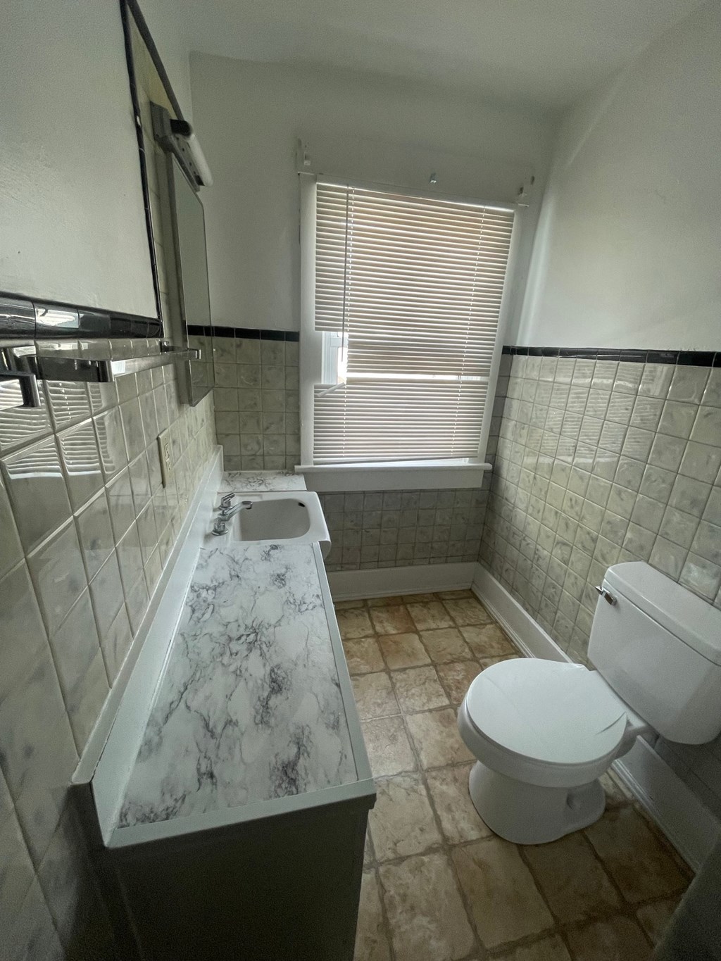 A white toilet sits next to a marble sink in a bathroom.
