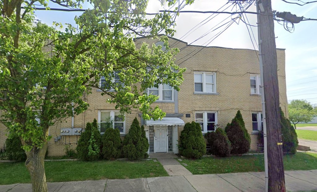 A tree with green leaves is in front of a house.