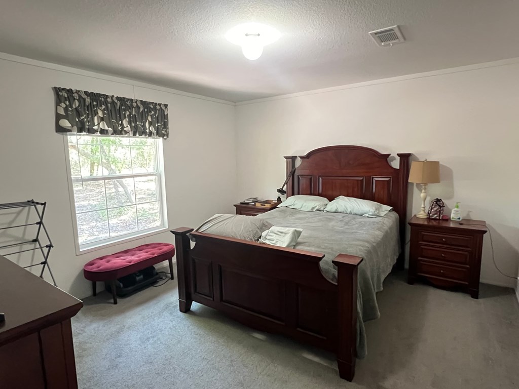 219 Mangrove Street 3 Beds House for Rent - Photo Gallery 7