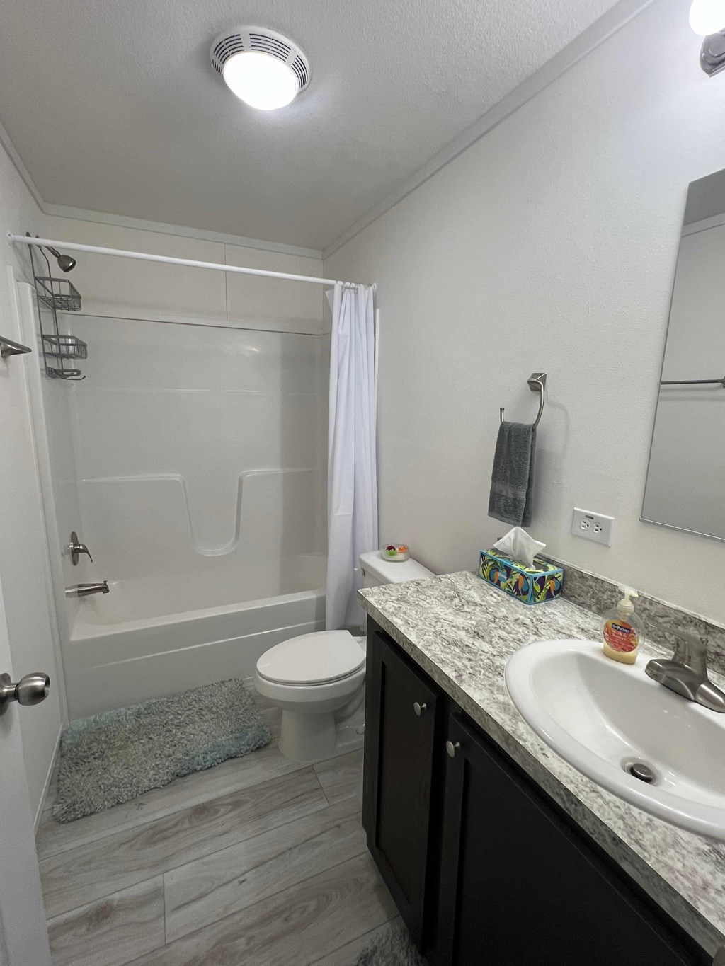 219 Mangrove Street 3 Beds House for Rent - Photo Gallery 8