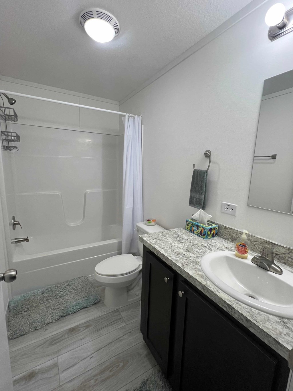 219 Mangrove Street 3 Beds House for Rent - Photo Gallery 5