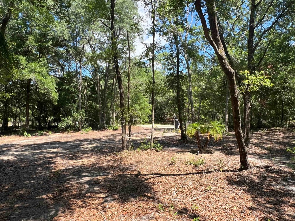 219 Mangrove Street 3 Beds House for Rent - Photo Gallery 23