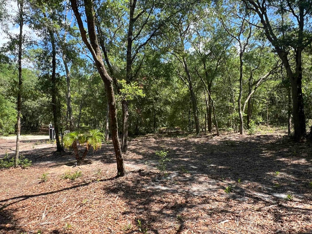 219 Mangrove Street 3 Beds House for Rent - Photo Gallery 22