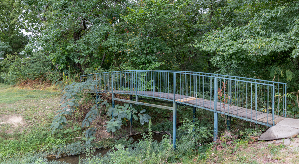 A metal bridge over a stream in a lush green forest.