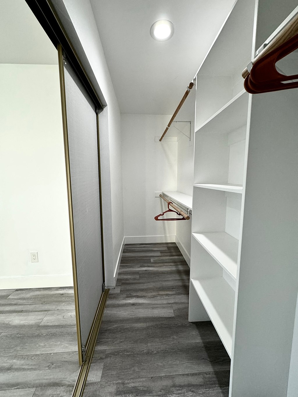 a walk in closet with a mirror and a white closet door