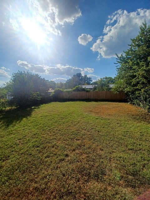 A sunny day in a backyard with a fence and trees.