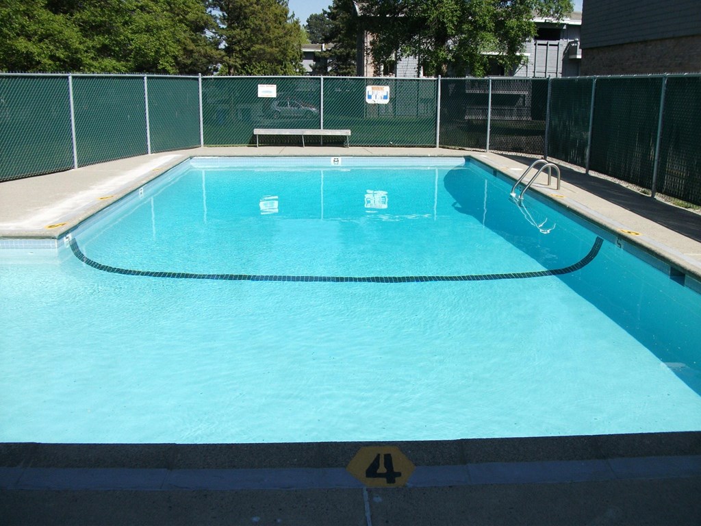 Swimming pool number 4 is empty and ready for swimmers.