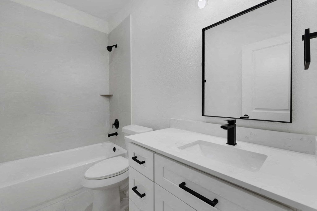 a bathroom with a sink and a toilet and a mirror