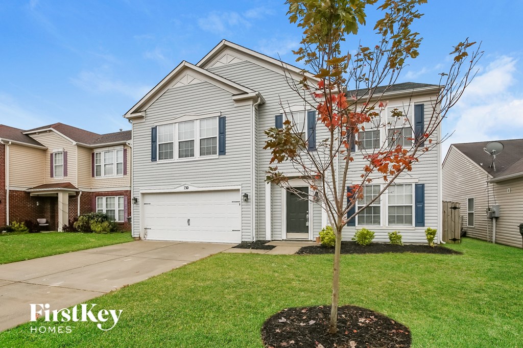 A tree with red leaves is in front of a grey house.