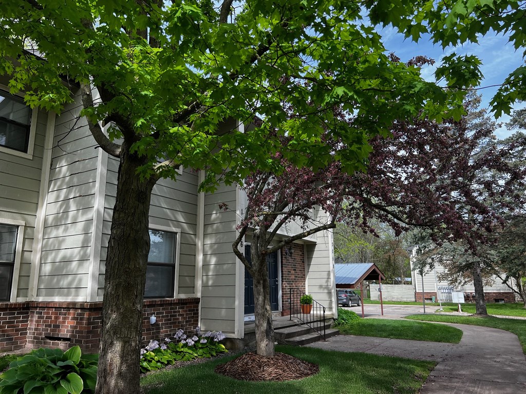 A tree with green leaves is in front of a house.