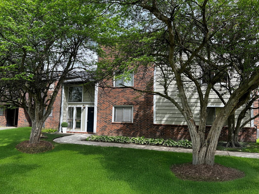 A tree in front of a building with a white door.