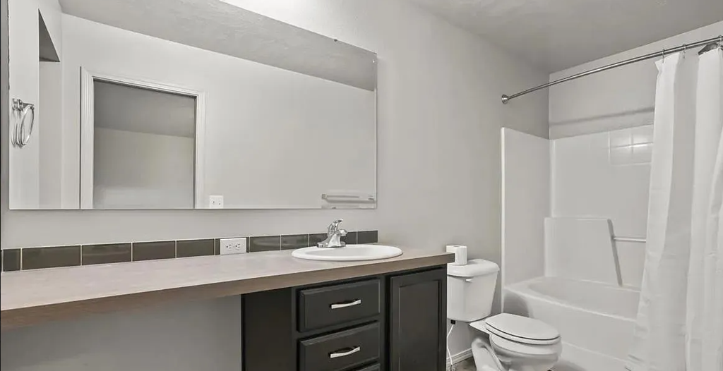 a bathroom with a sink toilet and a mirror
