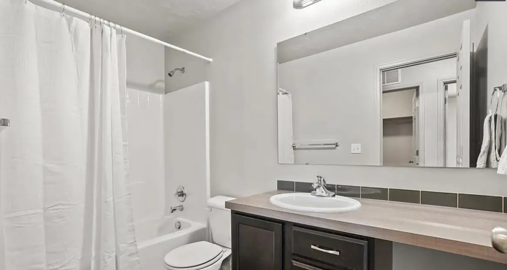 a bathroom with a sink and a shower and a mirror