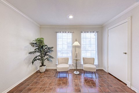 A room with a plant, two chairs, and a floor lamp.