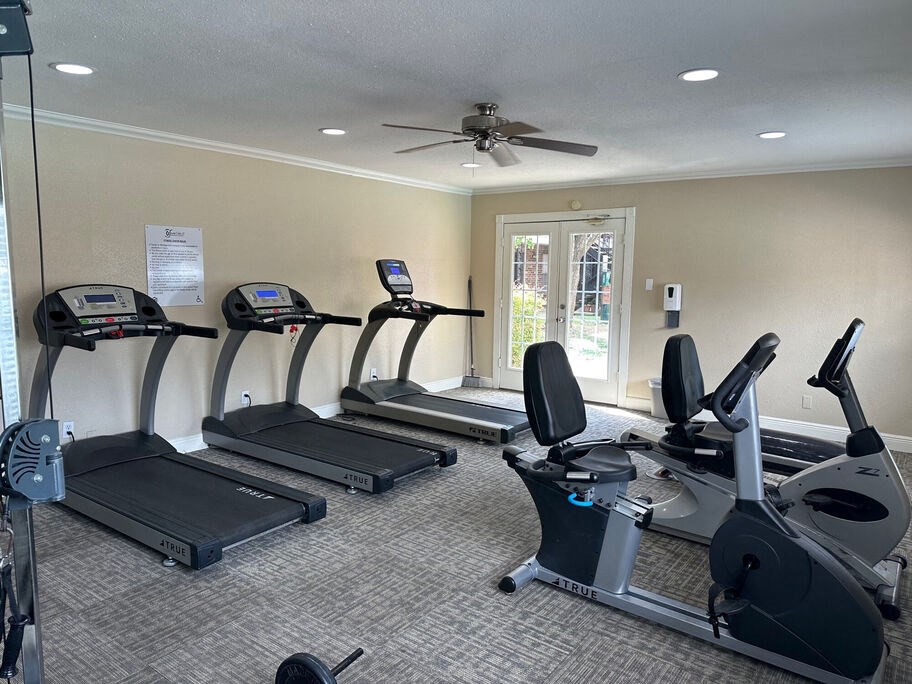 A gym with treadmills and elliptical machines.
