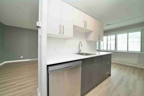 A kitchen with a dishwasher, sink, and cabinets.